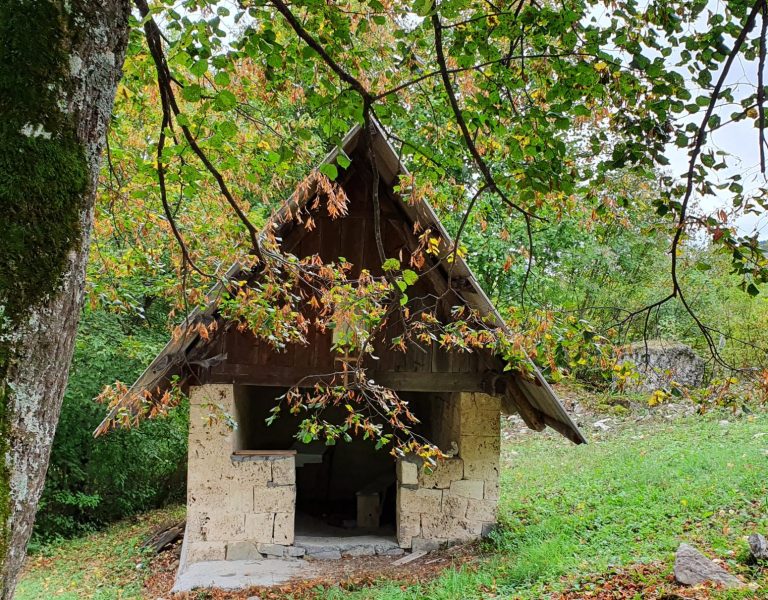 Kričići