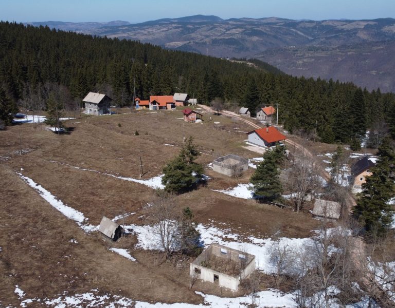 Brnjići