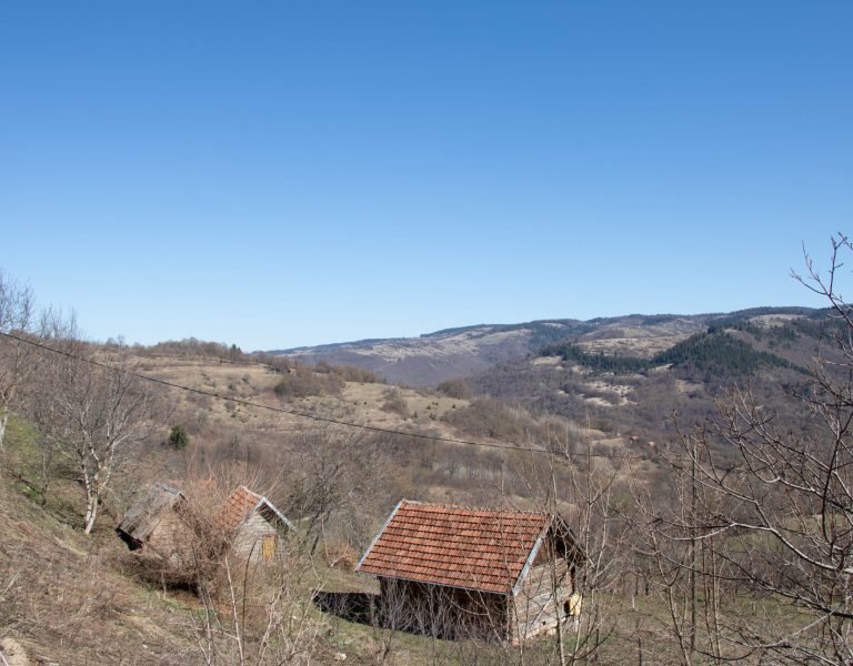 Davidovići